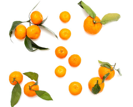 fresh tangerines on a white background