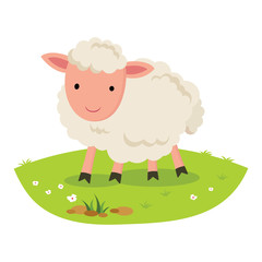 Sheep smiling. Cheerful sheep.