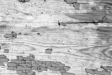 Texture, wood, wall, it can be used as a background. Wooden texture with scratches and cracks