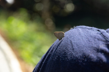 gossamer-winged butterfly on shoulder of  asian woman in the forest