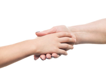 Fototapeta premium handshake of child and adult hands