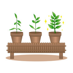 Tree Pot growing step Concept, Plant growing from seed in tree pot, flat design vector illustration.