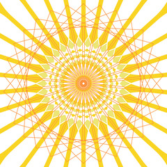 graphic abstract linear flower in clear yellow white