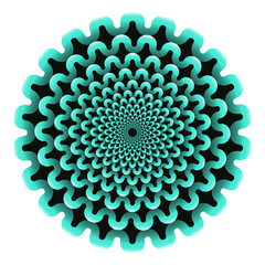 stylized chrysanthemum in black blue on white