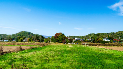 Naklejka premium 軽井沢の田園風景 秋