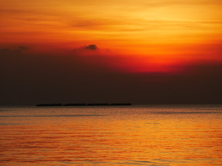 Wonderful picturesque places , many seagulls and good view at Bangpu Recreation Center ,Samut Prakan THAILAND.