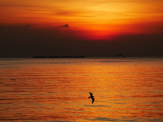 Wonderful picturesque places , many seagulls and good view at Bangpu Recreation Center ,Samut Prakan THAILAND.