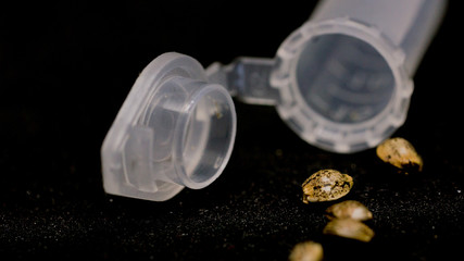 Seeds of Cannabis Marihuena Weed in black Background