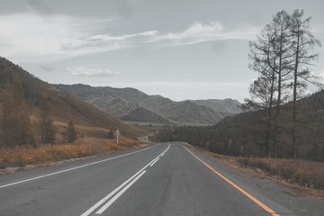 Naklejka premium Highway Chuysky trakt in the Altai mountains
