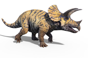 Obraz premium 3d render of a giant prehistoric dinosaur Triceratops