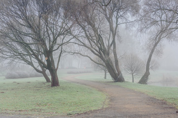 Obraz premium Path in the winter park. Foggy landscape. Riga. Latvia.