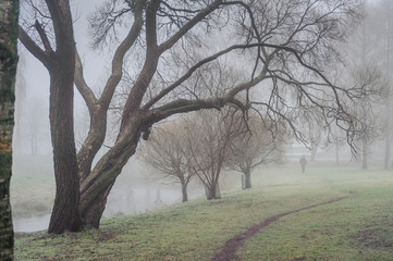 Obraz premium Footpath in the city park. Foggy winter landscape. Riga. Latvia. Mysterious park in fog.