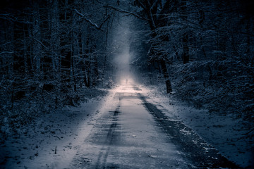 Winter-Wanderer