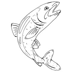 Fish logo. Vector illustration of a fish for food. Hand drawn cartoon fish icon.