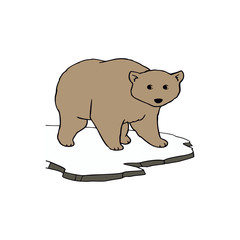 Flat vector cartoon bear 