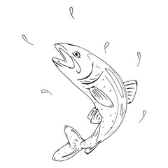 Fish icon. Vector of a fish for food. Hand drawn cartoon fish.