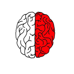 Different parts of brain