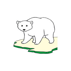 Flat vector cartoon bear 