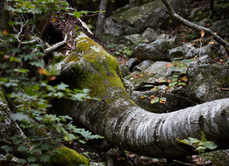 Various scenery of Seoraksan which is famous in Korea.