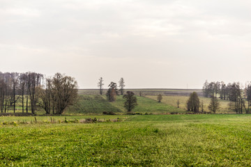 Fototapeta premium Late fall. Green meadows in the foreground. Trees and forest in the fog in the background. Site about agriculture. Podlaskie, Poland.