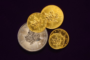 カナダの金貨銀貨　メイプルリーフ