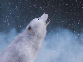 3D rendering of a majestic white wolf howling.