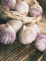 Solo garlic, single clove garlic on wooden background copy space