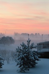 Foggy winter morning