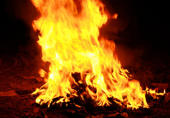 fire on black background