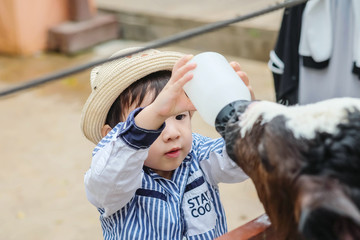 Closeup cute asian kid milking calf by bottle of milk in farm background © kenkuza