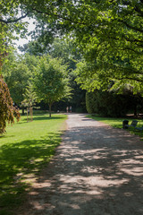 Beautiful park scene in public park