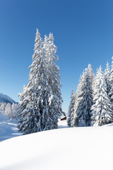  Winter wonderland in the Alps. Austrian countryside with a lot of fresh snow