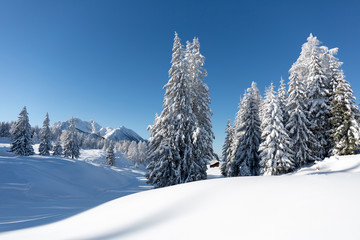  Winter wonderland in Austrian Alps. Beautiful winter scenery with frozen trees and traditional alpine hut