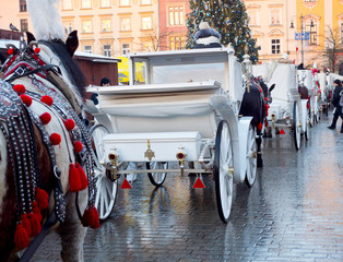 Krakowskie dorożki na Rynku Głównym © JDziedzic