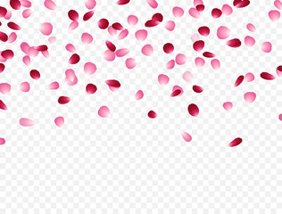 Flowers petals falling effect isolated on transparent background. Vector red and pink rose flying backdrop for Women, Mother Day, Valentine, wedding or greeting card design