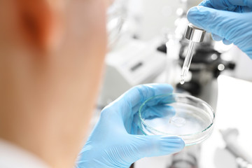 Doświadczenie naukowe. Chemik bada preparat na szalce Petriego  w laboratorium. - obrazy, fototapety, plakaty