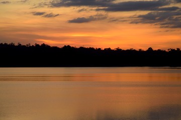 Naklejka premium sunset in river forest on light orange 