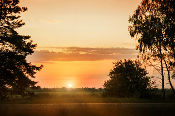 Dawn in the field along the road. Arch of tree branches around.
