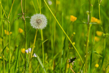 Nature outdoor day muenster