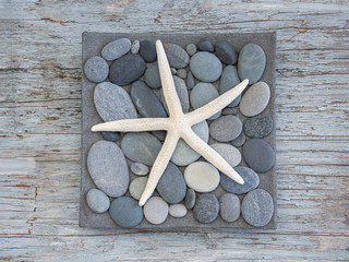 maritime Still life zen style with beautiful starfish on a plate with grey pebble