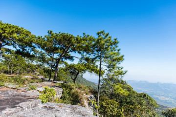 Nature views and sky at cliff in Phukradueng National Park