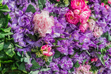 Floral background. Decorative wall made of Artificial blooming peonies of pink and purple colors