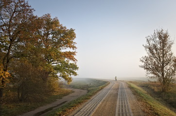 Fototapeta premium A woman with a dog on a misty morning in a forest