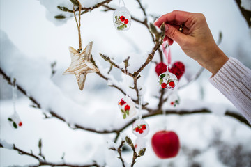 Winter garden. Ice decoration for the holidays.
