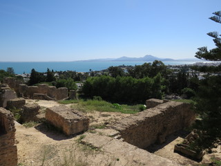 Carthago ruins of capital city of the ancient Carthaginian civilization. UNESCO World Heritage Site.