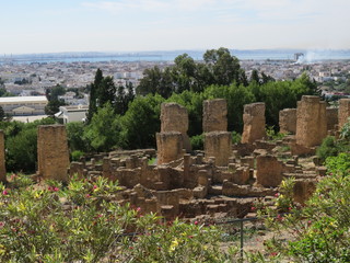 Carthago ruins of capital city of the ancient Carthaginian civilization. UNESCO World Heritage Site.