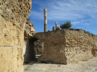 Carthago ruins of capital city of the ancient Carthaginian civilization. UNESCO World Heritage Site.