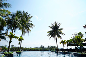 Naklejka na ściany i meble Palm trees at swimming pool 