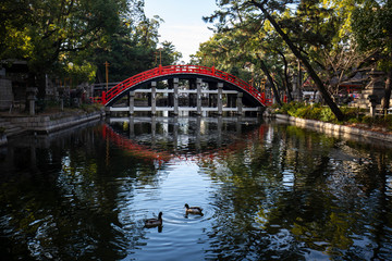 Fototapeta na wymiar Beautiful red Japanese bridge over calm water with ducks