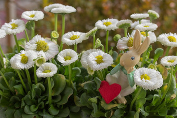 träumender Osterhase mit Latzhose und rotem Herz in weissen Blüten